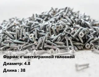 Шуруп с шестигранной головкой 4.8х38